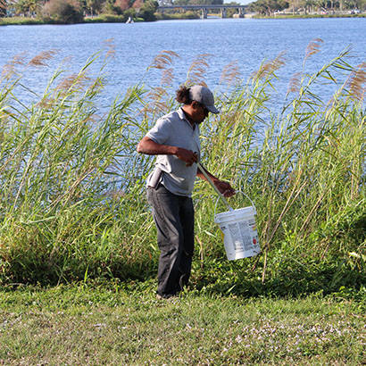 Palm Beach County FL 410